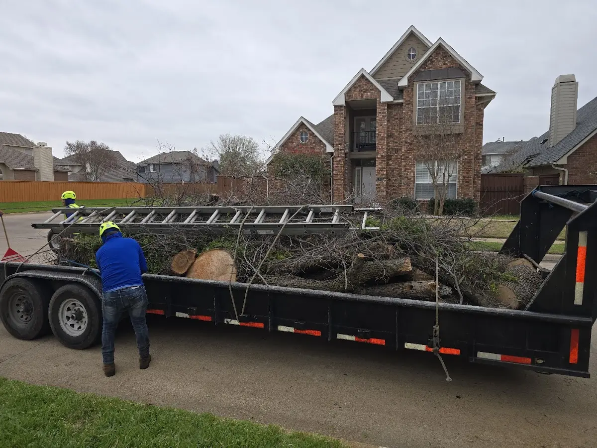 Expert Tree Removal with proper safety equipment in Saint Patrick